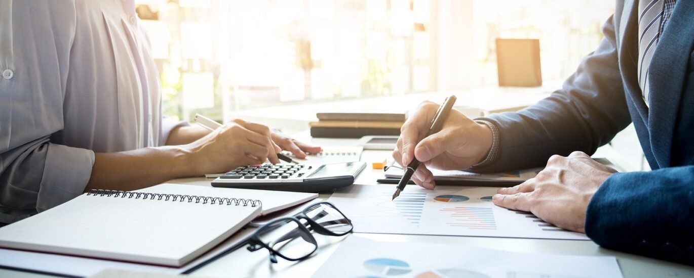 Tax Consultant and Tax Advisor