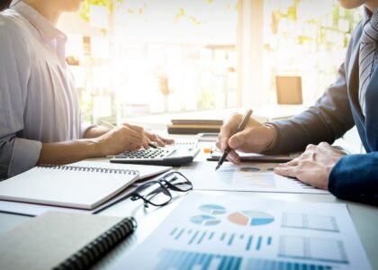 Tax Consultant and Tax Advisor